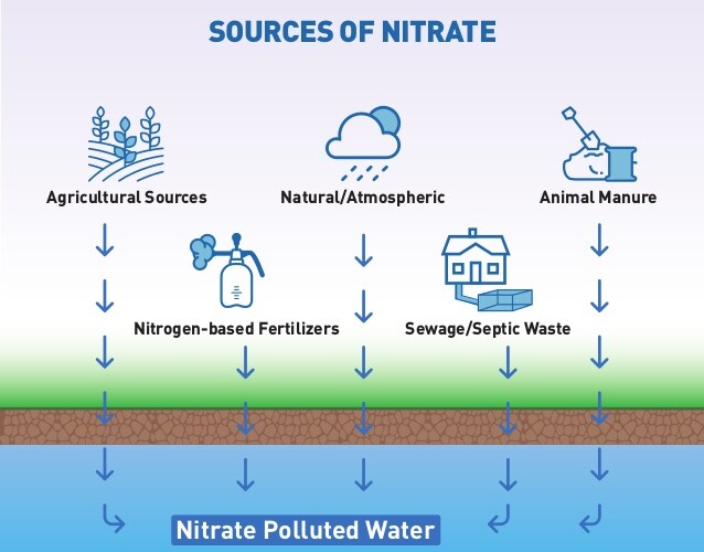 Cách loại bỏ nitrat khỏi nước